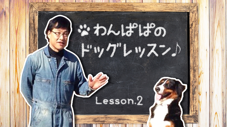 わんぱぱのドッグレッスン♪Lesson２〜そもそも犬は…の巻〜