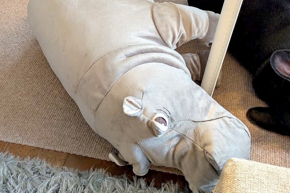 IKEAでなぜか一目惚れした『カバのぬいぐるみ』→まさかの『理由』が判明した瞬間に反響「どっちがどっち？」「兄弟みたい」「めちゃ可愛い」