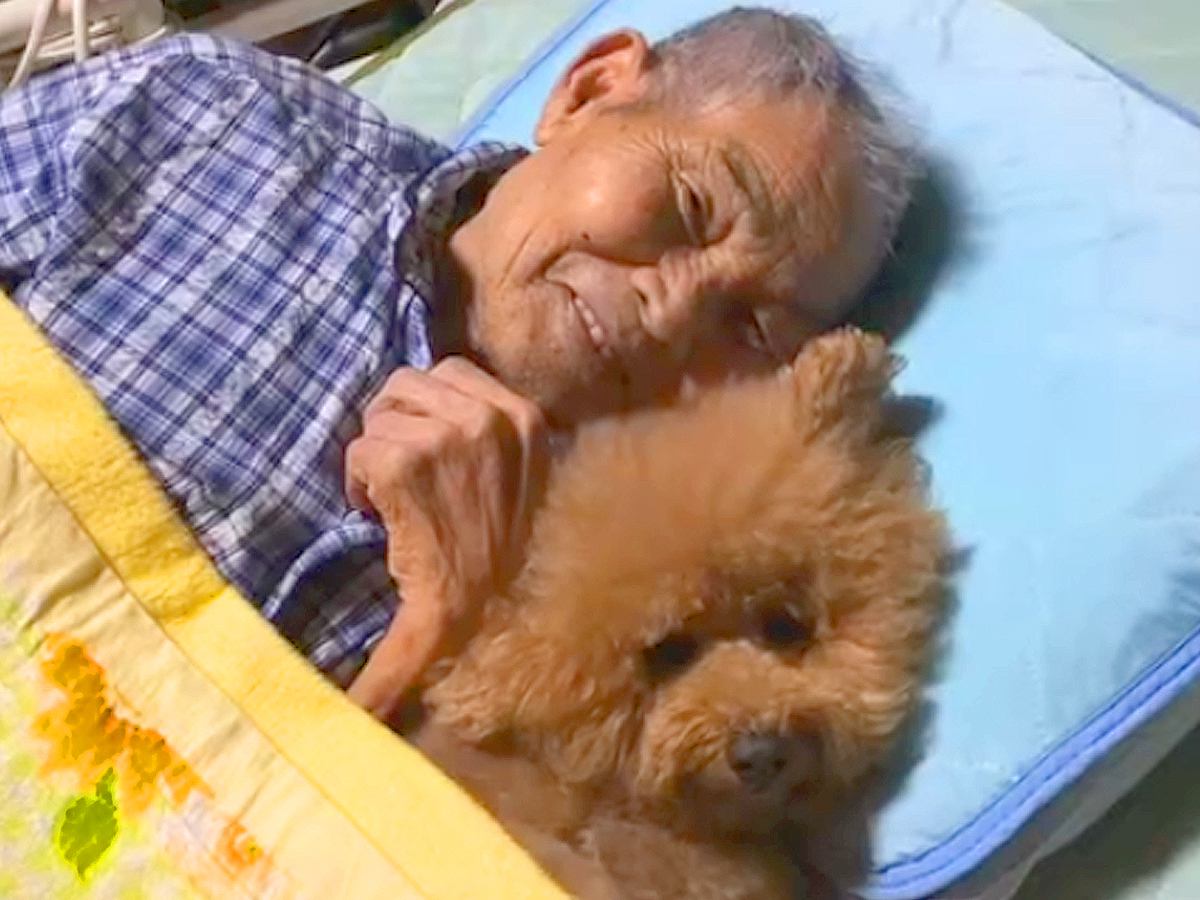 『約４ヵ月前に亡くなった祖父母』犬との何気ない日常を振り返ったら…あまりにも愛にあふれた光景が48万再生　心温まる尊い記録に思わず感動