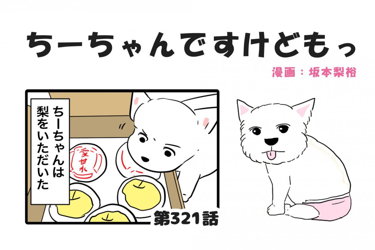 ちーちゃんですけどもっ【第321話】「大好物ですけどもっ」