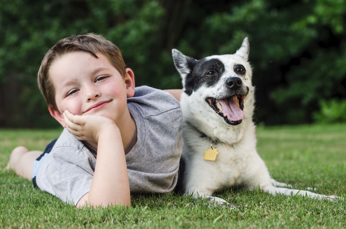 愛犬に合った迷子札をつけよう！素材の選び方から特徴まで