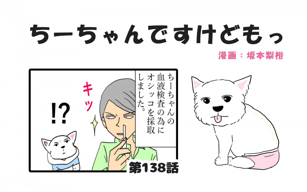 ちーちゃんですけどもっ【第138話】「誕生日に血尿が出た話③」