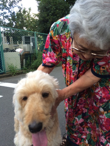 犬のほんわかする話(๑´ㅂ`๑)