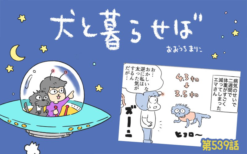 犬と暮らせば【第539話】「反比例」