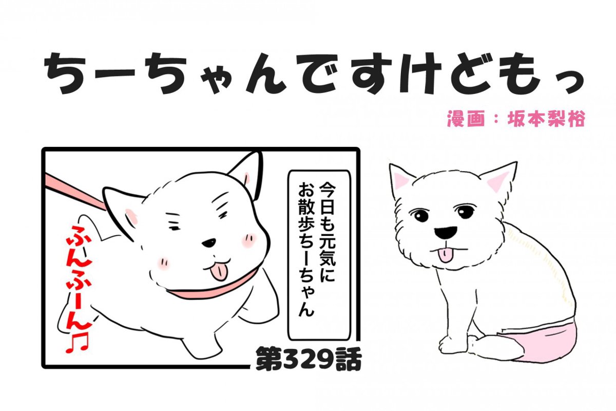 ちーちゃんですけどもっ【第329話】「神話みたいなちーちゃん」