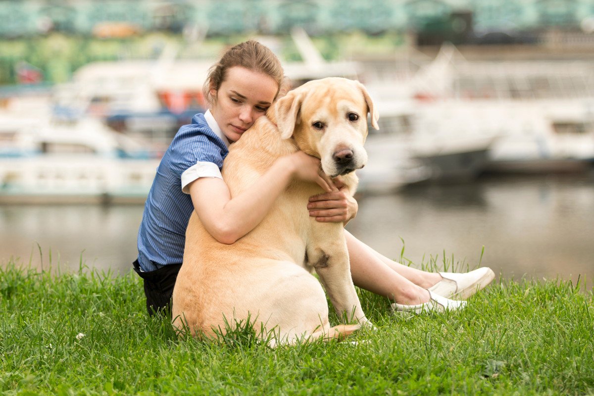 愛犬が『居心地が悪い』と感じてしまう飼い主の行動や状況3つ