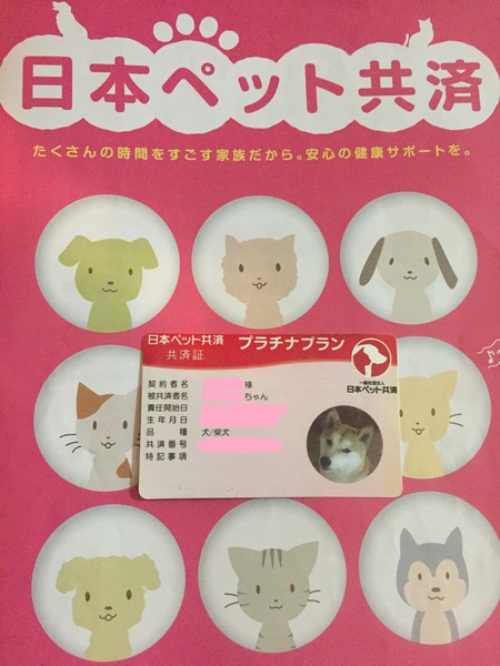 日本ペット共済の口コミ・評判！その特徴についてもご紹介