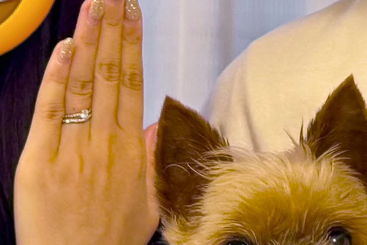 結婚報告のため実家にきた息子夫婦→記念に『犬と一緒に写真を撮った』結果…もはや主役な『表情』に2万いいね「ドヤってて草」「嬉しいんだね」