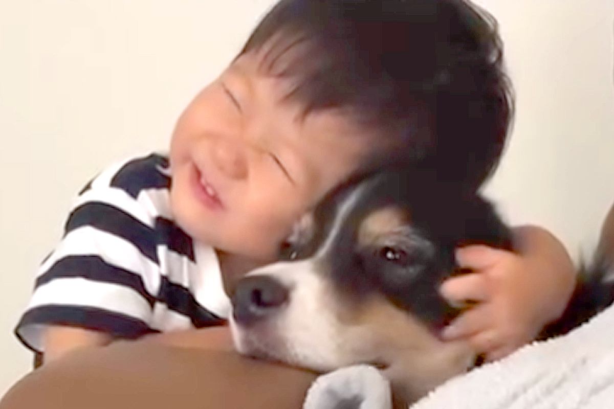 男の子が小さな時から『大型犬と育った』結果→5歳になった現在も…『愛してるよ』あまりにも尊い記録が18万再生「幸せそう」「愛が溢れてる」