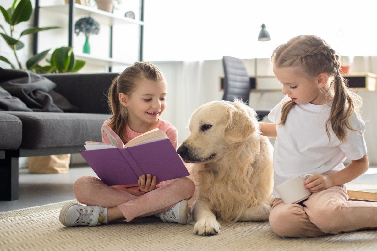 犬の精神年齢は、人間で言うと何歳くらい？どれくらいの知能を持っているの？