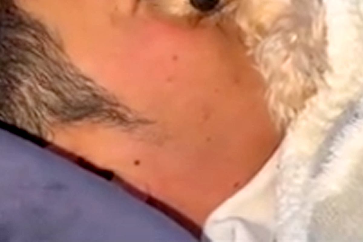 ふと『隣で寝ているパパ』を見たら、犬が…絶対に動けない『愛が重すぎる光景』が48万再生「息の根を止めにいってるｗ」「幸せなんだろうな」