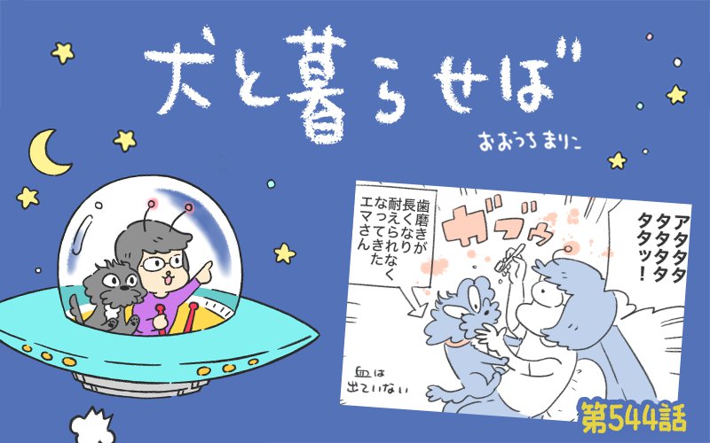 犬と暮らせば【第544話】「エマの危機意識」