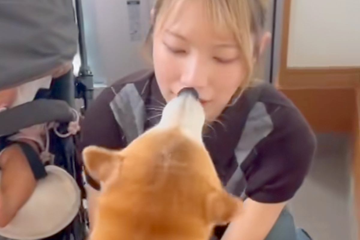 1日ぶりにお姉ちゃんと再会した犬→すぐ隣で『ベビーカーに乗った赤ちゃん』が…思わず笑う『のぞき見』に反響「ガン見すぎて草」「みんな可愛い」