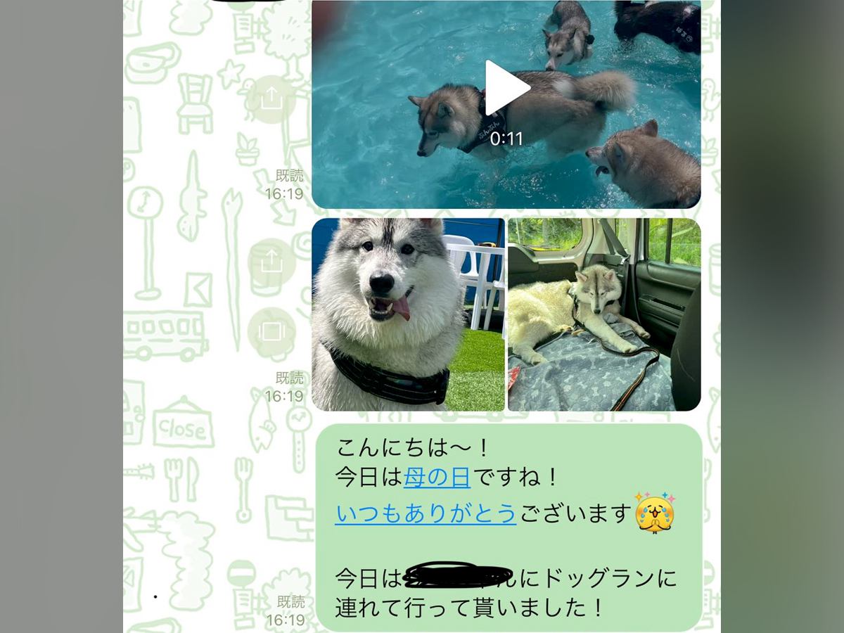 お義母さんに『大型犬が遊ぶ写真』をLINE→届いた返信が…想定外だった『まさかの疑い』に「倍はあって草」「なんて大きいモフモフｗ」の声
