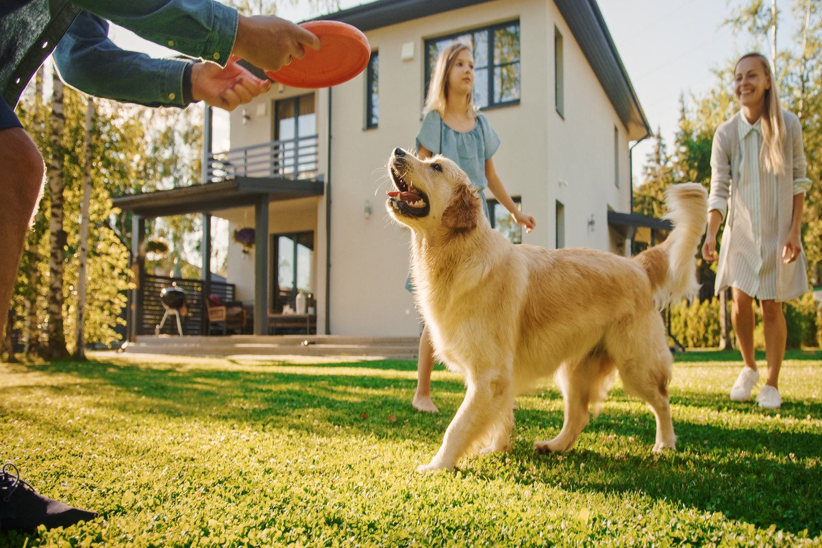 犬にとって飼い主はどんな存在なの？　愛犬が持っている印象をご紹介