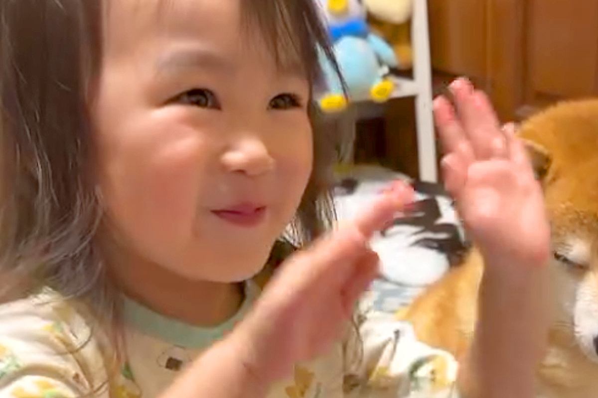 女の子と一緒に『手遊び』をした結果→隣で見ていた犬が、状況を察して…笑ってしまう『微笑ましい光景』が63万再生「猛烈にかわいい」「上手」