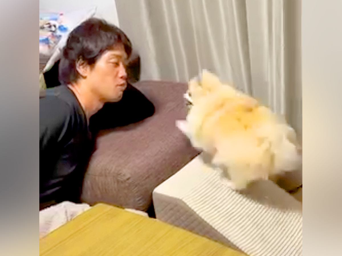 『ボールを取ってあげる代わりにチューして』と犬に伝えてみた結果…想像を超える『まさかの反応』に爆笑「もはや彼氏と彼女ｗ」「激しくて草」