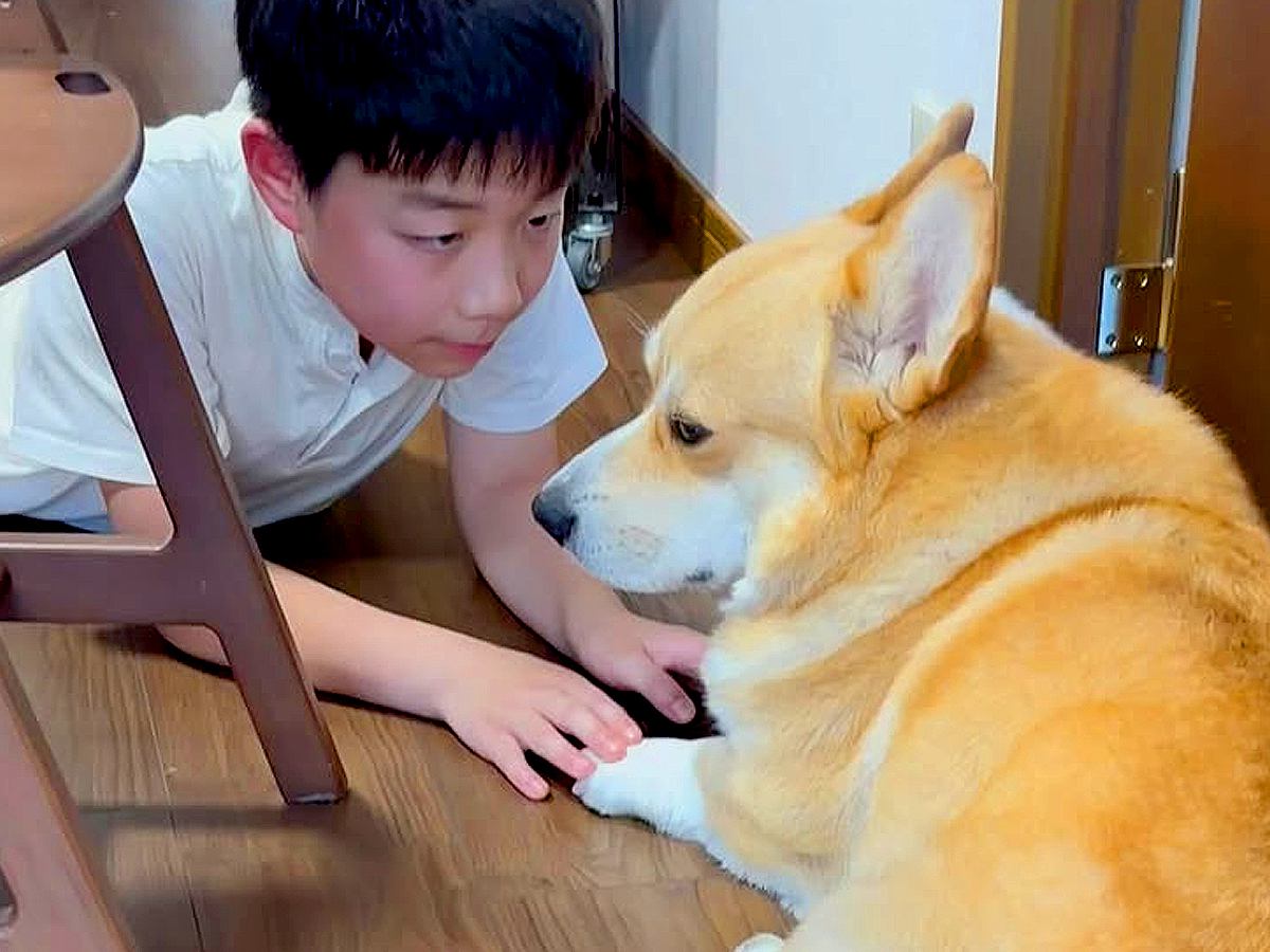 大好きなお兄ちゃんが1泊2日の外出→察した犬が…切ないお別れの光景と『再会の瞬間』が素敵すぎると9万再生「胸がキュンとした」「優しい」