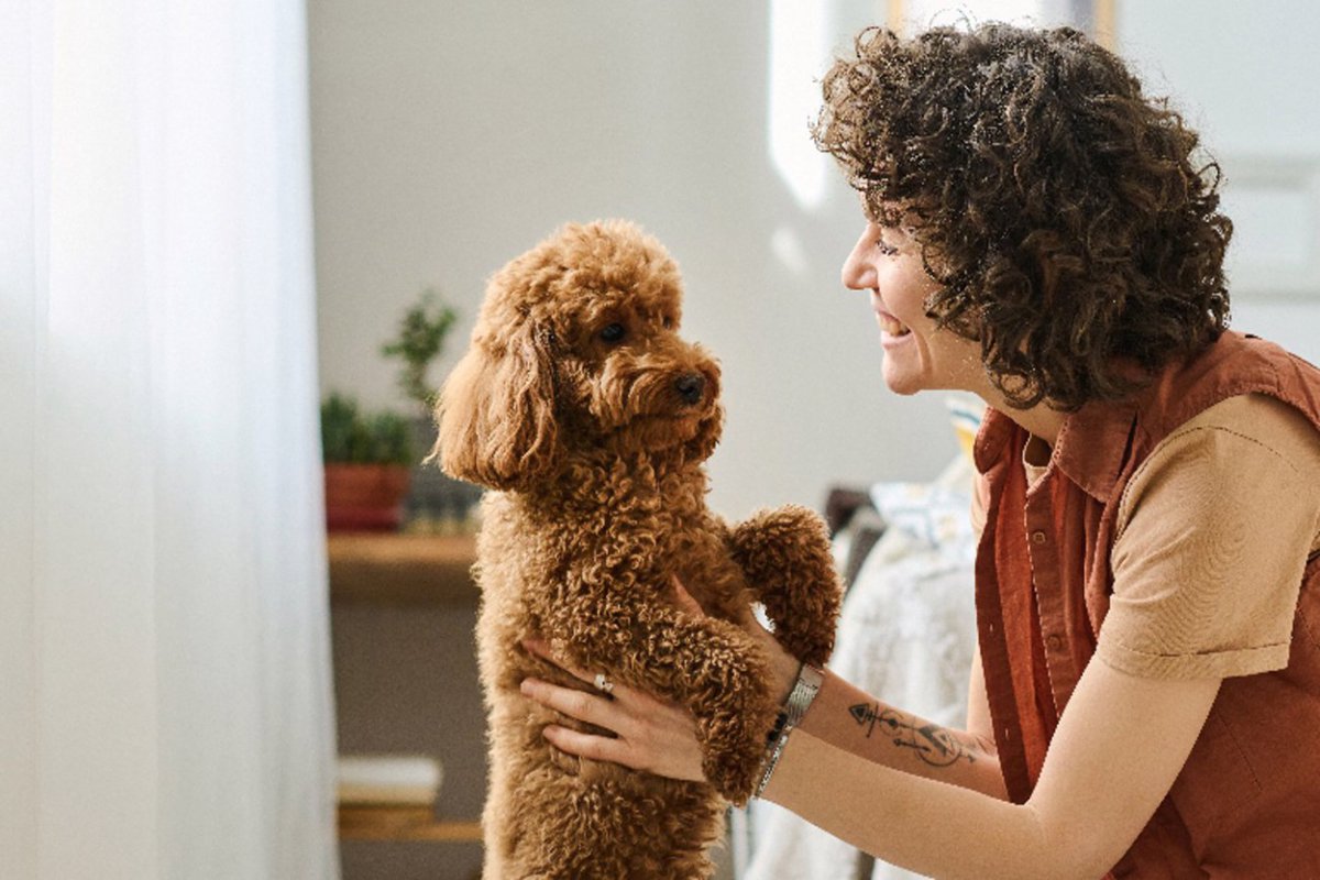 経験豊富な犬の飼い主が絶対にしない『5つのこと』ベテランが普段からしている対応まで