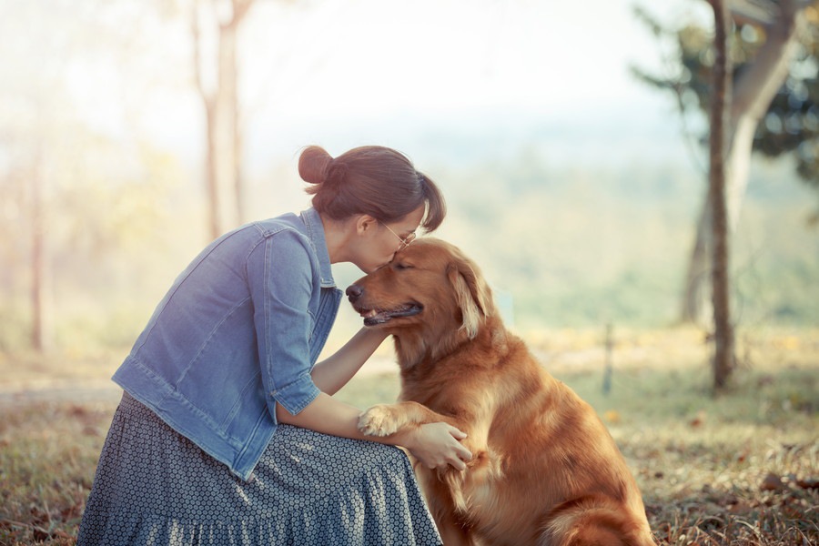 犬にとって理想的な飼い主とは？