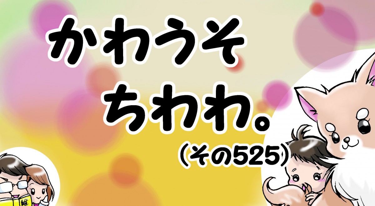 かわうそちわわ。【その525】「歯が無くなっても食欲は無くならない」