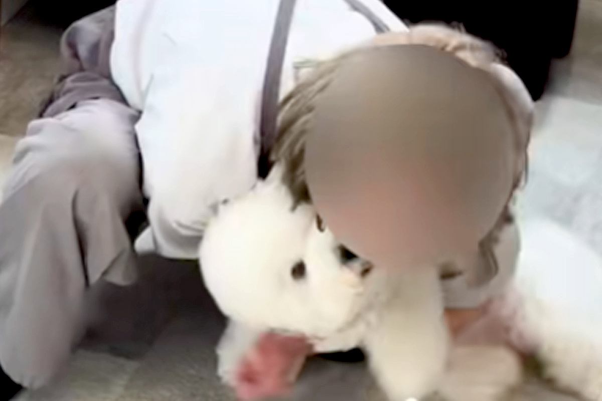 人間のことが苦手な犬→唯一『トリマーのお姉さん』が大好きで…愛に溢れている『再会の光景』に反響「甘えん坊な綿あめ」「めっちゃ可愛い」
