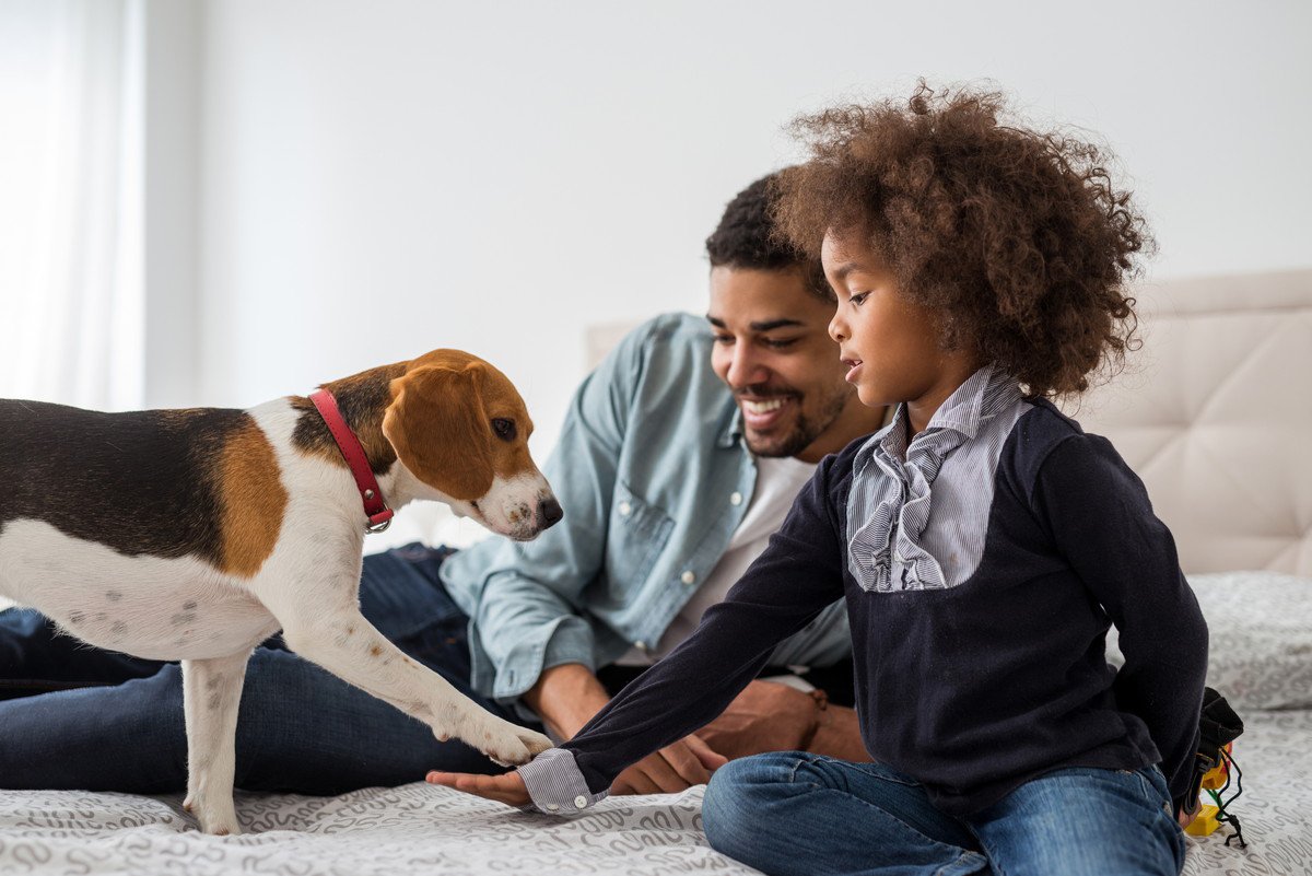 犬が『人の間に割り込んでくる』理由5選　飼い主が会話しているときにアピールしてくる心理とは？