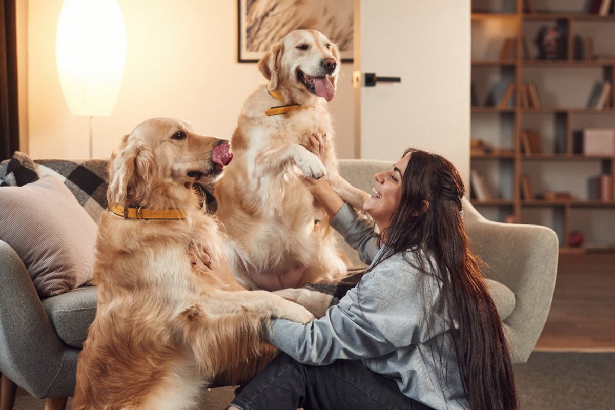 『すぐに甘えてくる』犬種5選　どんな仕草をする？甘えん坊に育てる方法まで解説