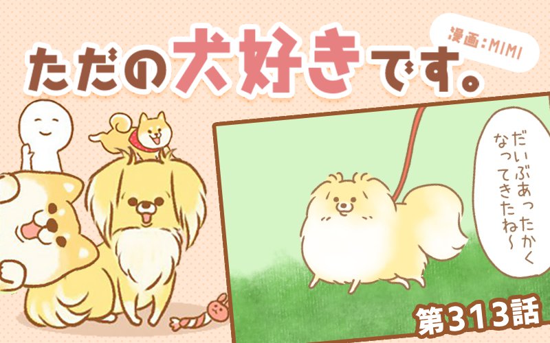 ただの犬好きです。【第313話】「なにやつ」