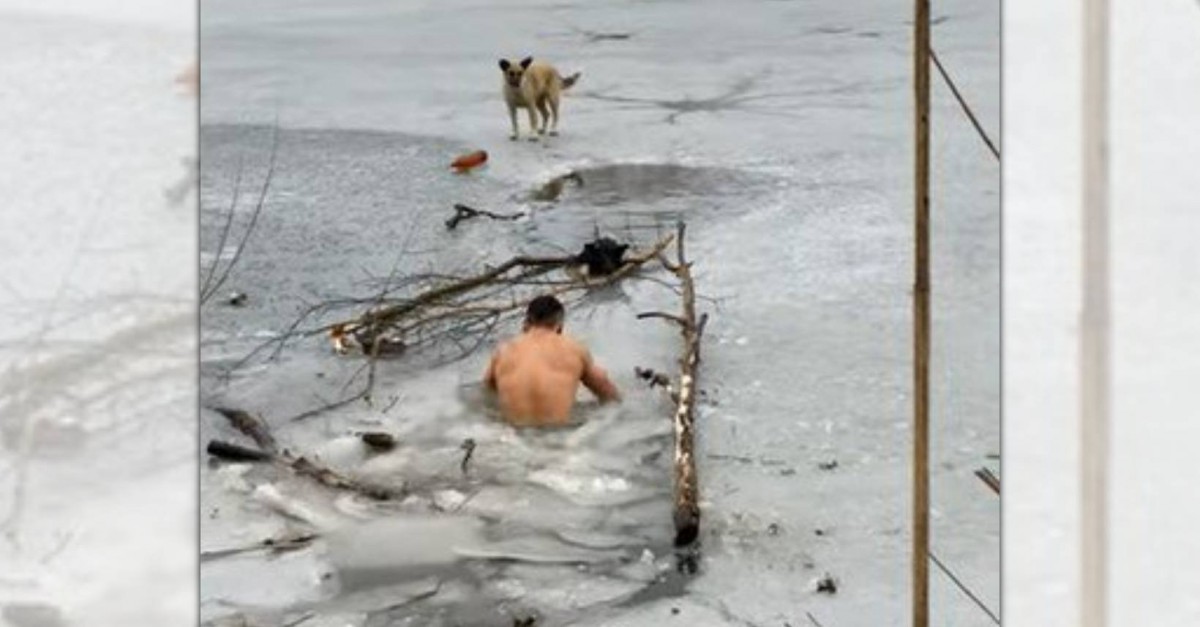 「冬の川に犬が落ちた！」極寒のウクライナ東部に現れたレスキューヒーロー
