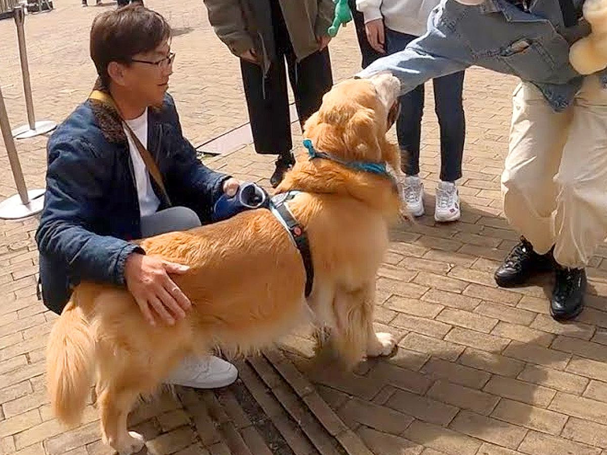 犬が旅行で人に絡んだ結果…お姉さんとおじさんに見せた『まさかの対応』に爆笑の声「態度違い過ぎて草」「お姉さんの圧勝ｗ」と14万再生