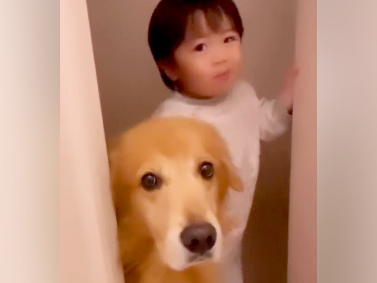 トイレをしていたら、毎回乱入してくる小さな男の子と大型犬…３年後→癒される日常が24万再生「なんて可愛いの」「ほのぼのしてる」と反響