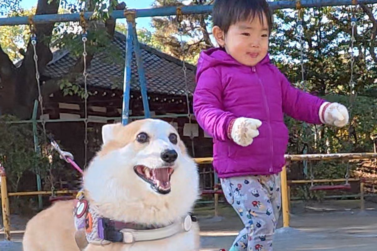 男の子が『犬と一緒に散歩に出かけた』結果→帰宅後…微笑ましすぎる『お出かけ後の差』に1万いいね集まる「連動してて可愛い」「疲れてるｗ」