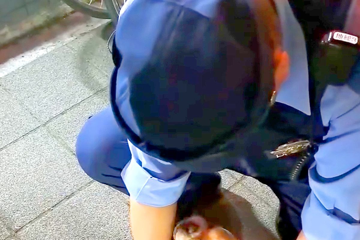 警察官に『恋』をしている犬→交番を通り過ぎようとすると…尊すぎる『相思相愛な光景』が13万再生「誰にも止められない」「他の犬の温度差ｗ」
