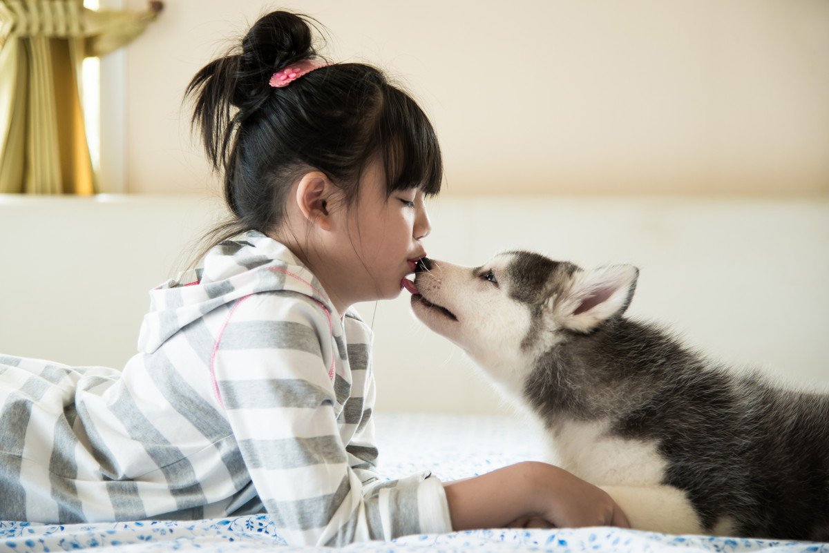 犬が『ペロペロ舐める』行動の意味とは？舐めてほしくないときにやめさせる方法まで