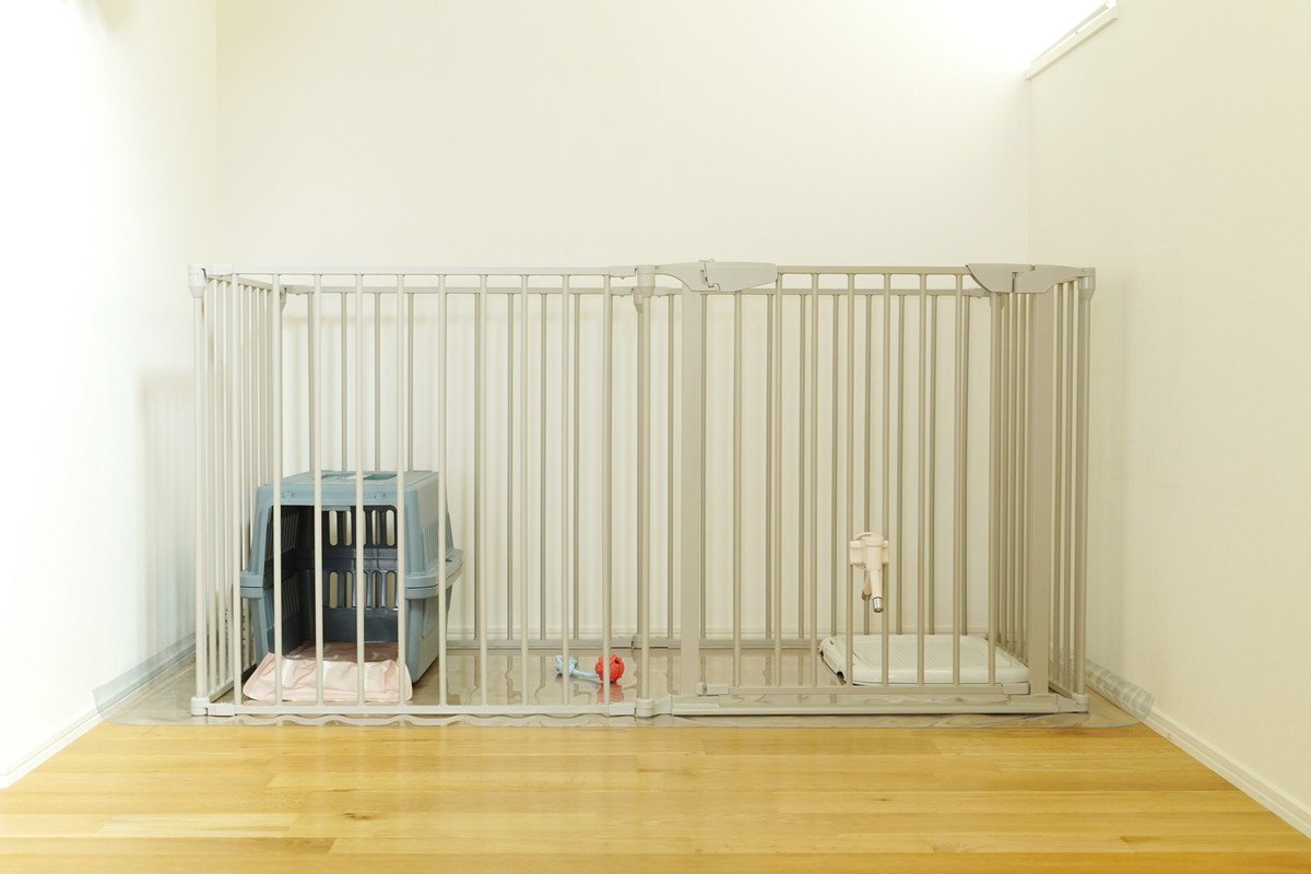 犬の『ケージ』絶対NGな置き場所4選　ストレスや体調不良の原因となる位置とは？