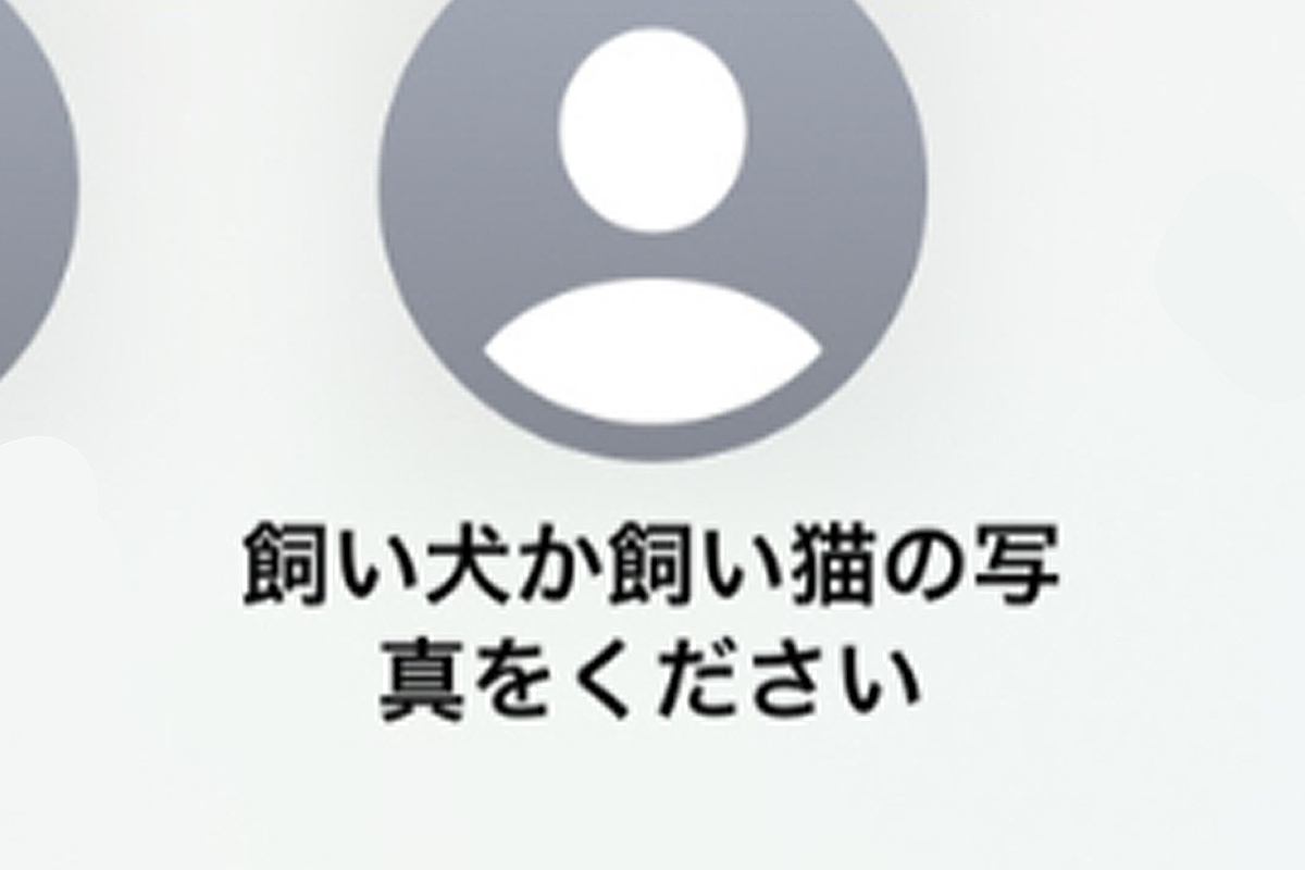スマホで知らない人から『犬か猫の画像ください』のメッセージ→試しに愛犬を送ってみたら…『驚きの展開』が289万再生「素敵」「平和で好き」