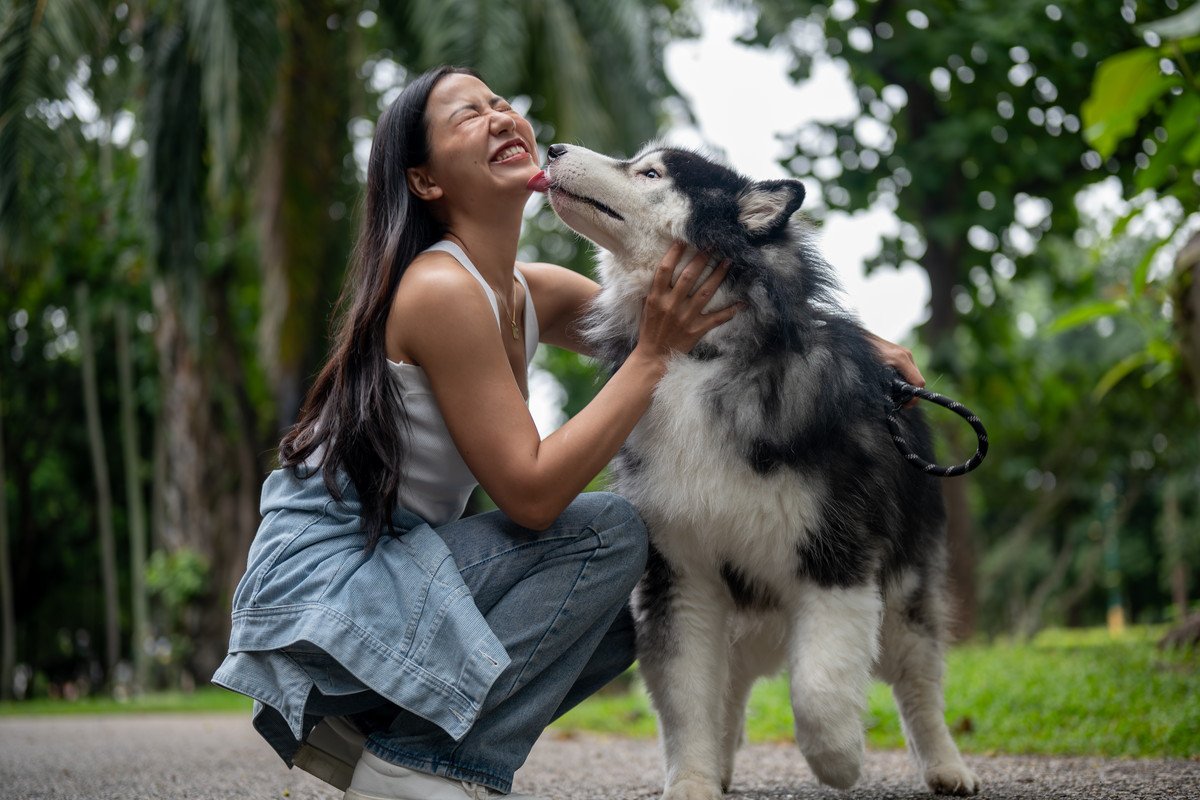 犬が飼い主に見せる『愛情表現』5選　愛犬からの好意に気付くためのポイントとは？