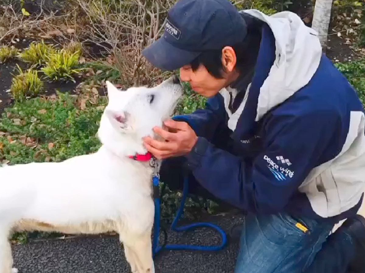 保護施設から『体の弱い犬』を引き取った結果…6年間の軌跡と、まるで別犬な『現在の光景』に涙「違う犬かと…」「笑顔が泣ける」と15万再生