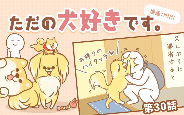 ただの犬好きです。【第30話】「帰省初日」