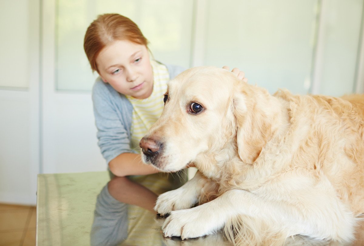 愛犬が臆病かどうかを見極めるチェックポイント３つ　気弱な性格のワンコにはどう接するべき？