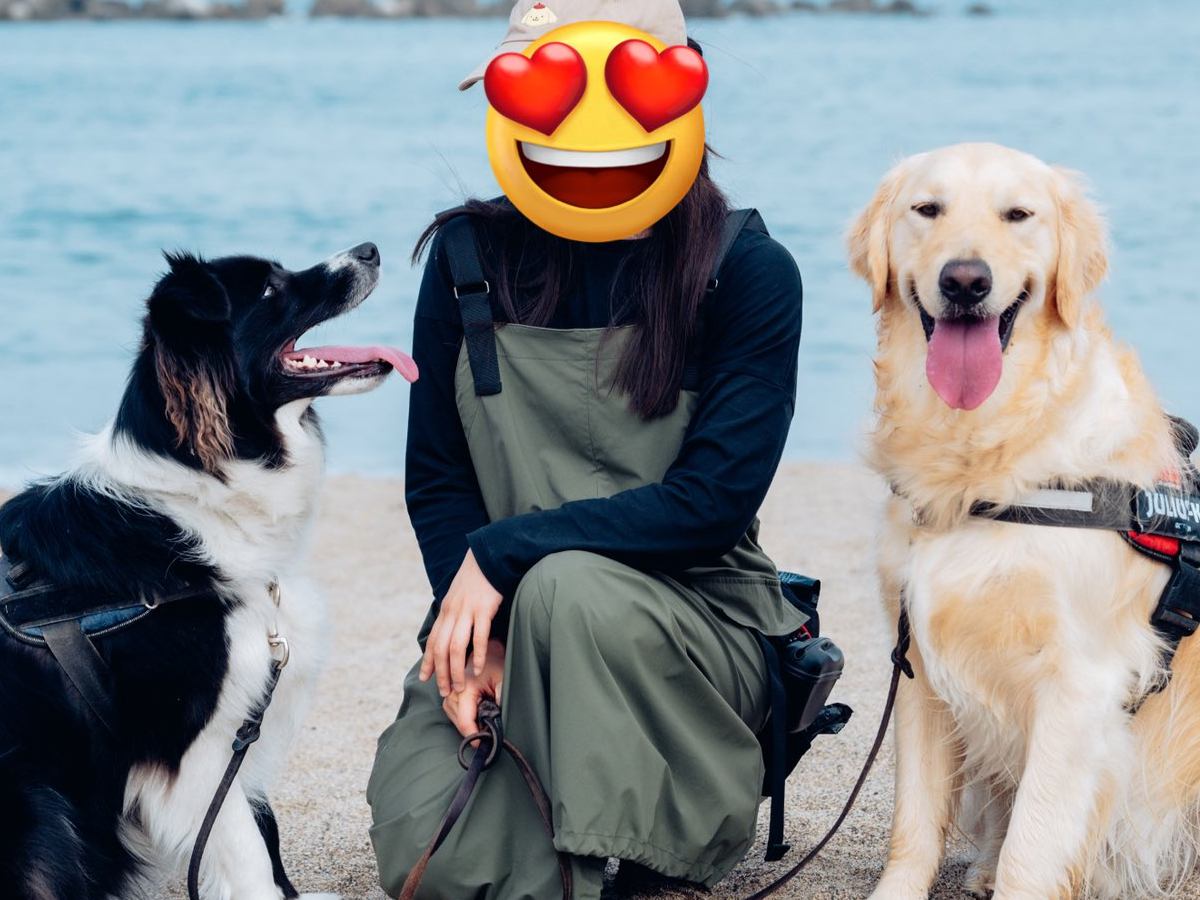 ２頭の犬と一緒に『海で写真を撮ろうとした』結果…多頭飼いの『理想と現実』に7万いいね集まる「めっちゃわかるｗ」「二刀流剣士かと笑」と爆笑