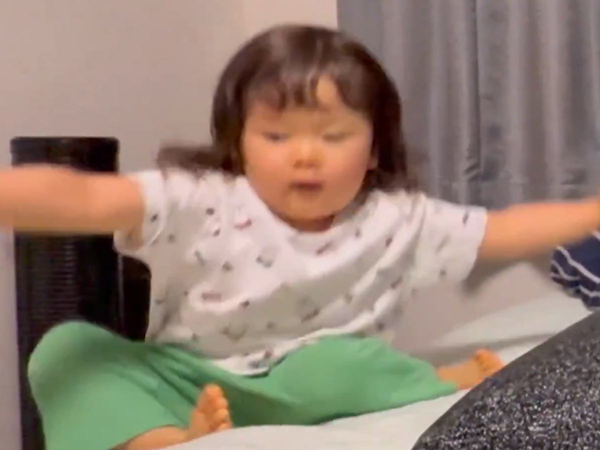 ベッドで遊んでいた女の子が落下→見ていた犬が…思わず笑顔になる『想定外の反応』が1431万表示の反響「守りたい幸せ…」「最強の癒やし」