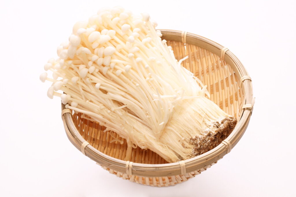 犬はえのきを食べても大丈夫！与え方の注意点と体重別の目安量を解説