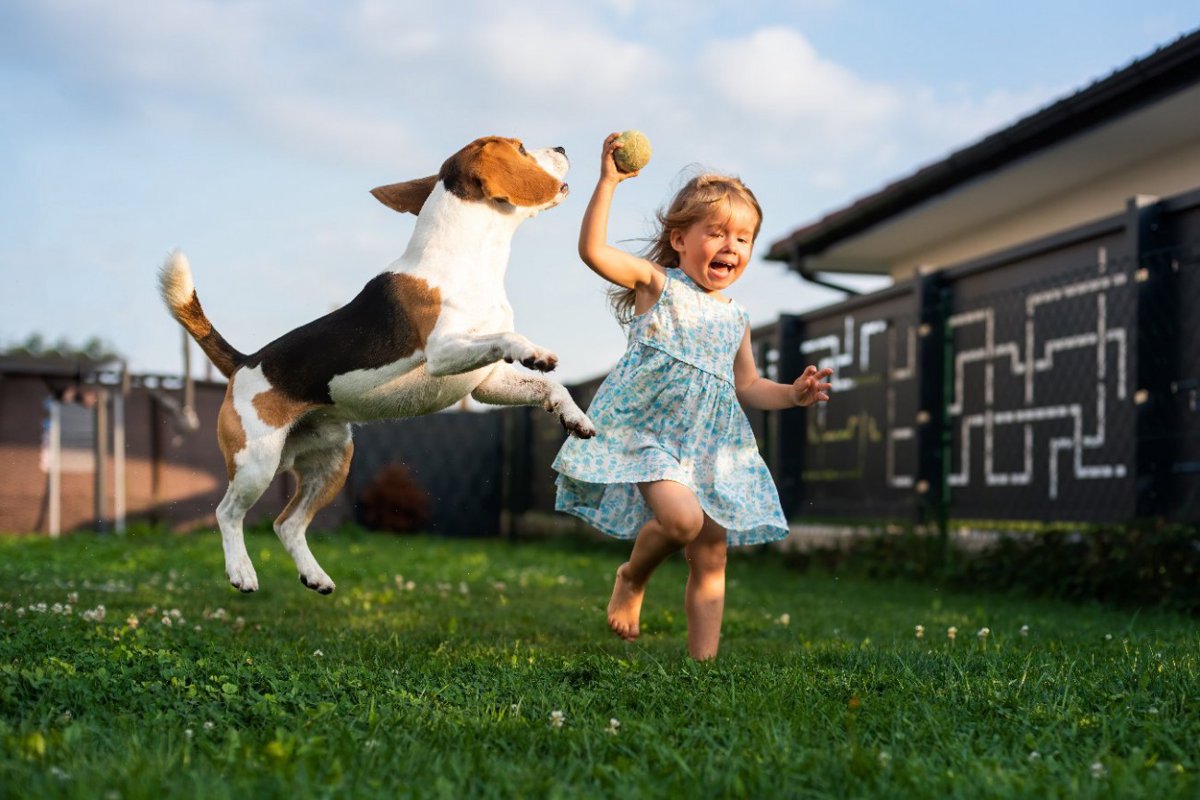 犬の飼うことと子どもの運動量との関連についての調査結果