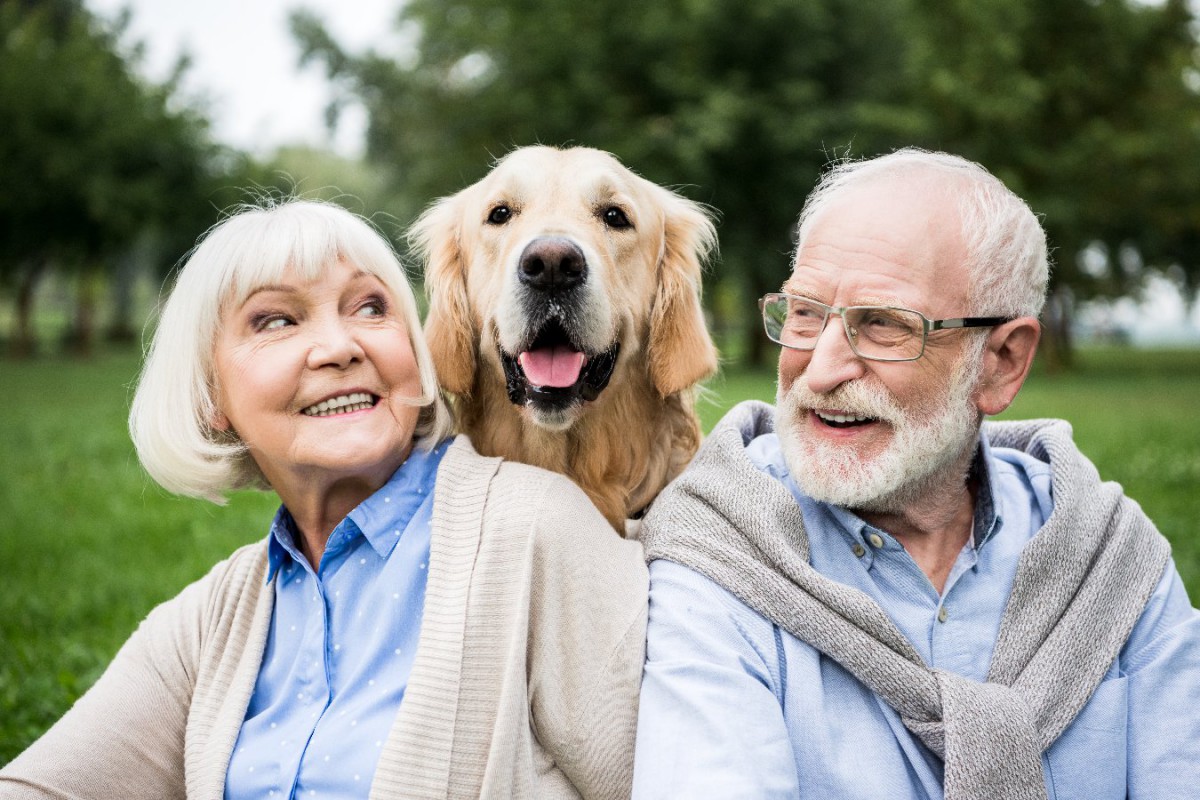 犬を飼ったことがある高齢者は要介護のリスクが低いという研究結果