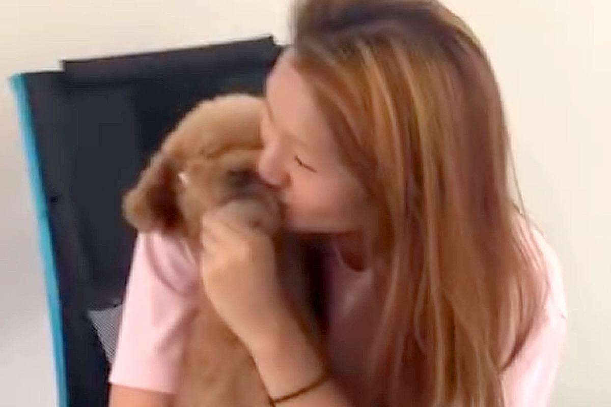 ママやお姉ちゃんと『チュー』を犬→パパもしてもらおうとしたら…辛辣すぎる『態度の急変』が87万再生「激おこで草」「ワロタｗｗ」と爆笑続々