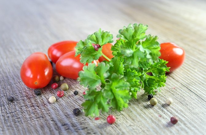 犬にパセリを食べさせても大丈夫？メリットや適量、注意点を解説