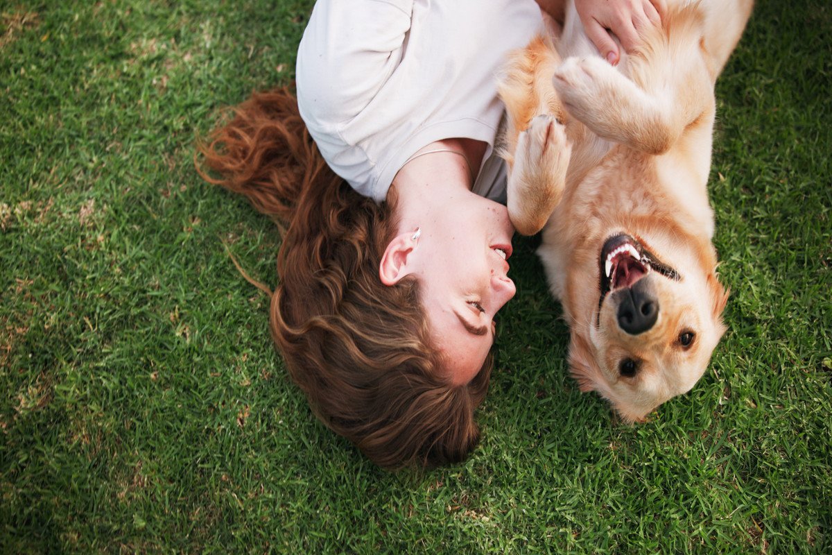 『飼い主から大切に育てられている犬』の特徴５選　愛されていない犬との大きな違いとは？