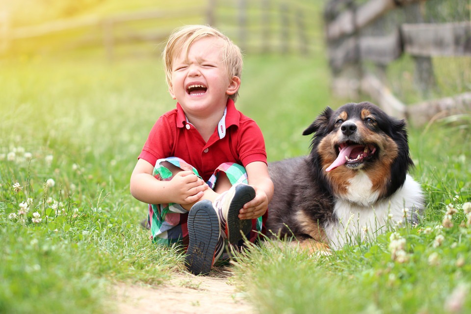 犬も悲しいと思う時がある！人間と同じ「情動」を感じる動物です。